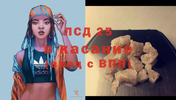 spice Алзамай