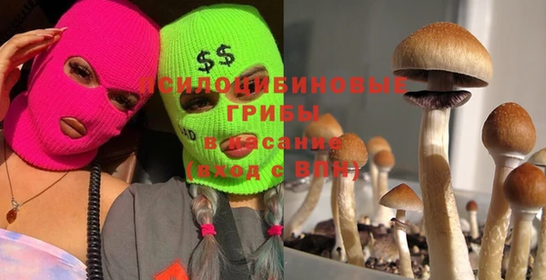 Альфа ПВП Абаза