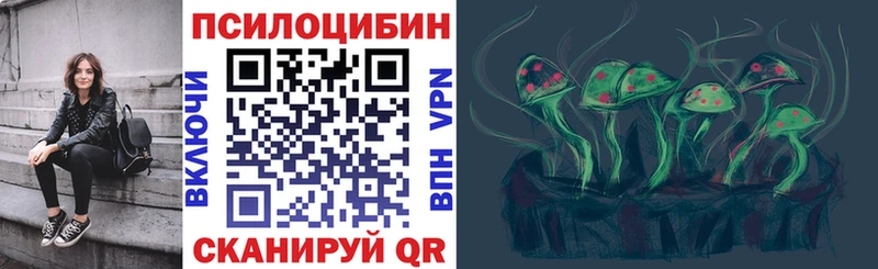 Галлюциногенные грибы Psilocybe Шенкурск