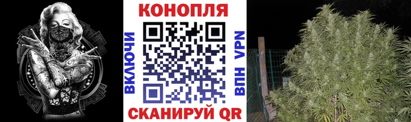 Конопля White Widow Шенкурск
